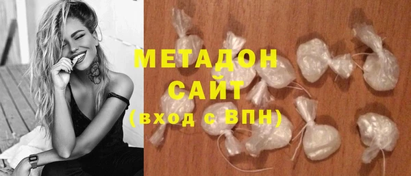 индика Инта