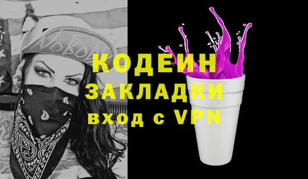 индика Инта