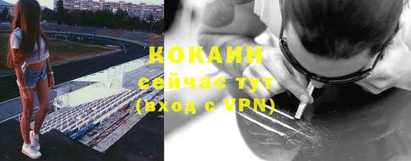 индика Инта
