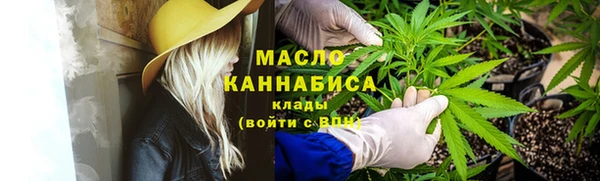 индика Инта