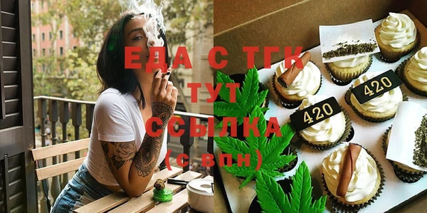 индика Инта