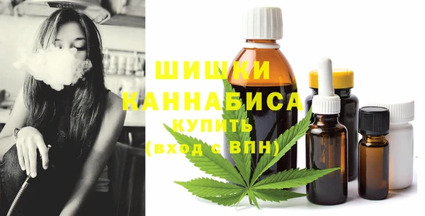 ешки Иннополис