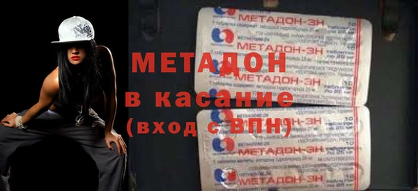 индика Инта