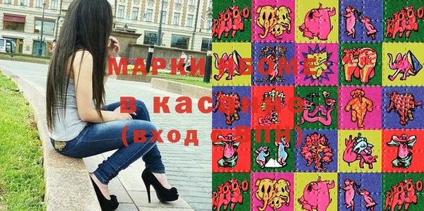 МДПВ Инсар