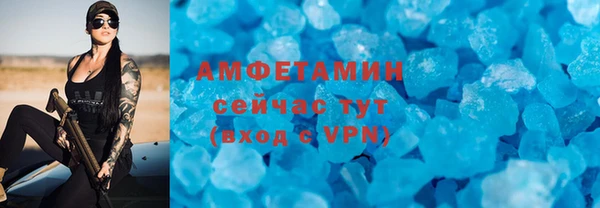 индика Инта