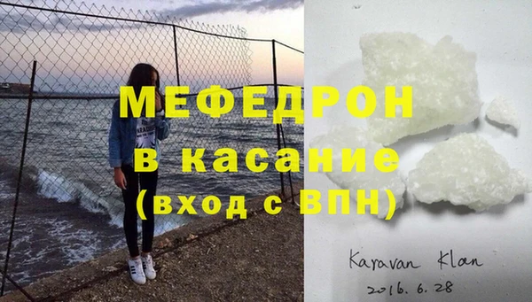 индика Инта