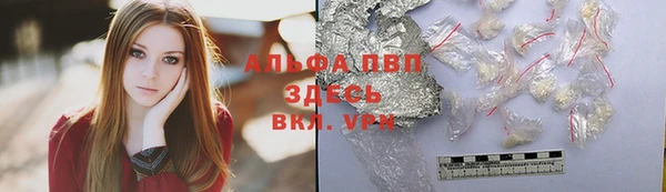 МДПВ Инсар