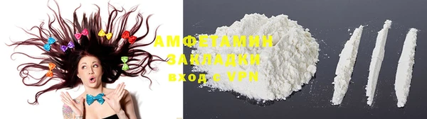 индика Инта