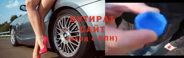 индика Инта