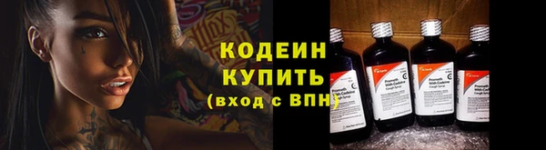 МДПВ Инсар