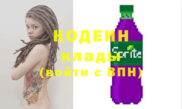 ешки Иннополис