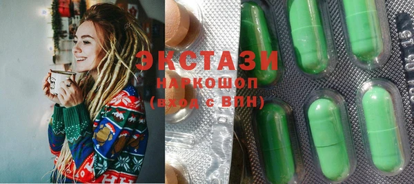 индика Инта