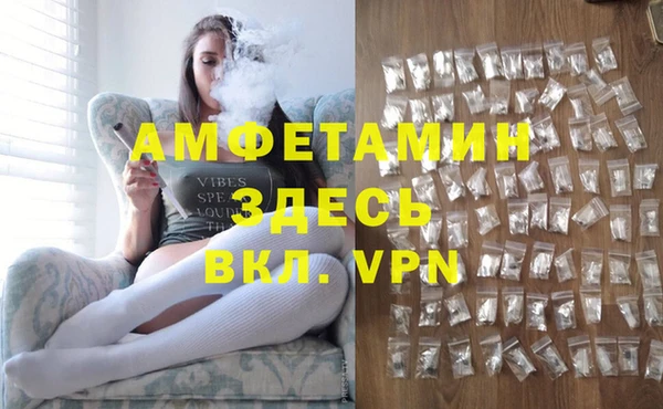 индика Инта