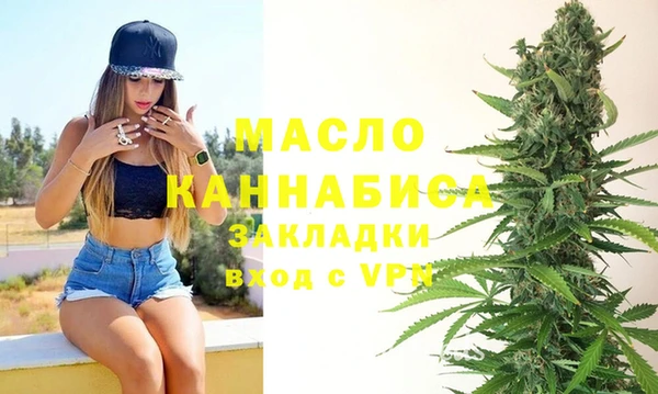 МДПВ Инсар