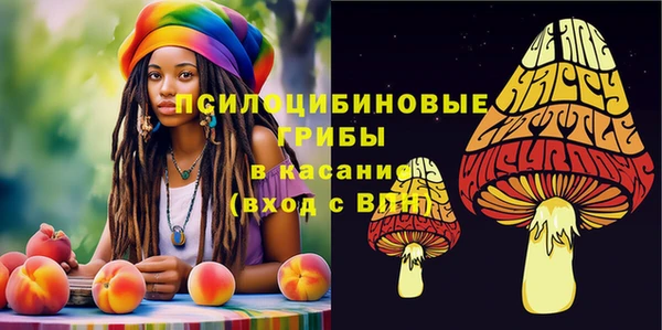 МДПВ Инсар