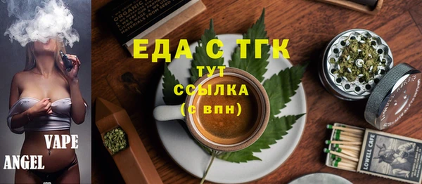 МДПВ Инсар