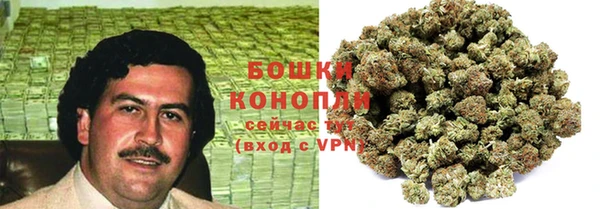 МДПВ Инсар