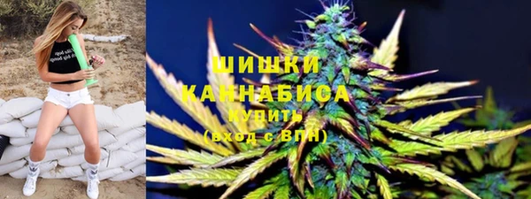 ешки Иннополис