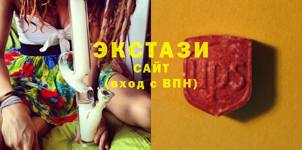 МДПВ Инсар