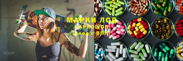 МДПВ Инсар