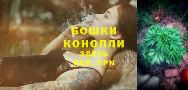 ешки Иннополис