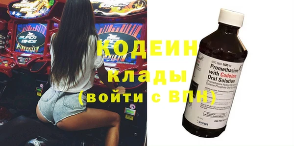 МДПВ Инсар